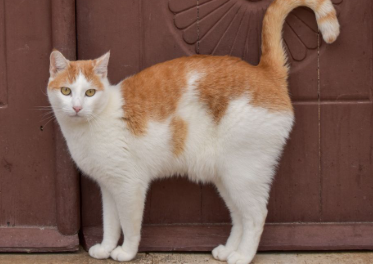 SylviIndah